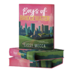 book box set